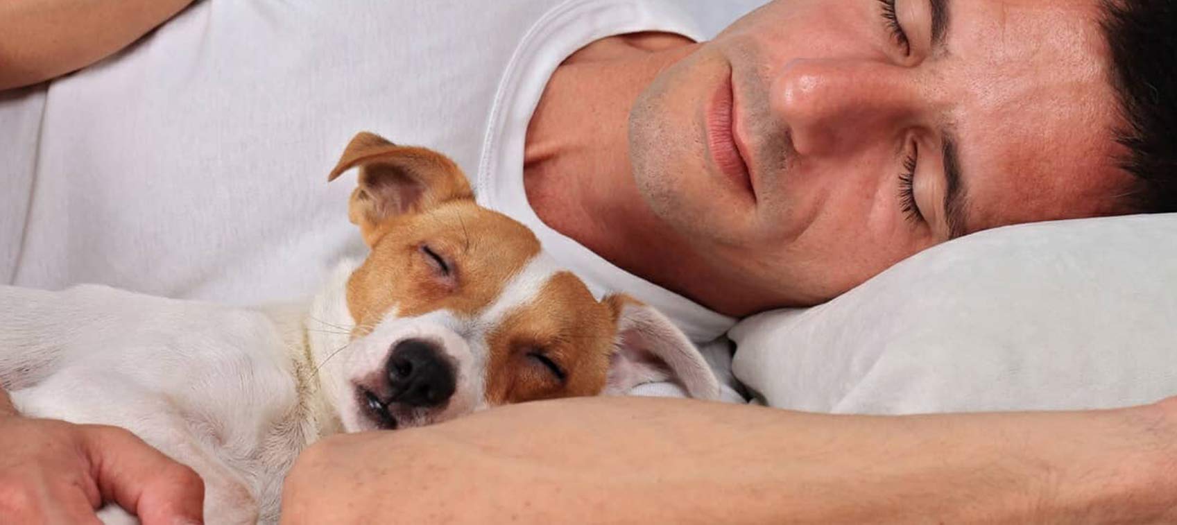 Why a Divided Dose of Melatonin Works Best for a Solid Night's Sleep Why a Divided Dose of Melatonin Works Best for a Solid Night's Sleep