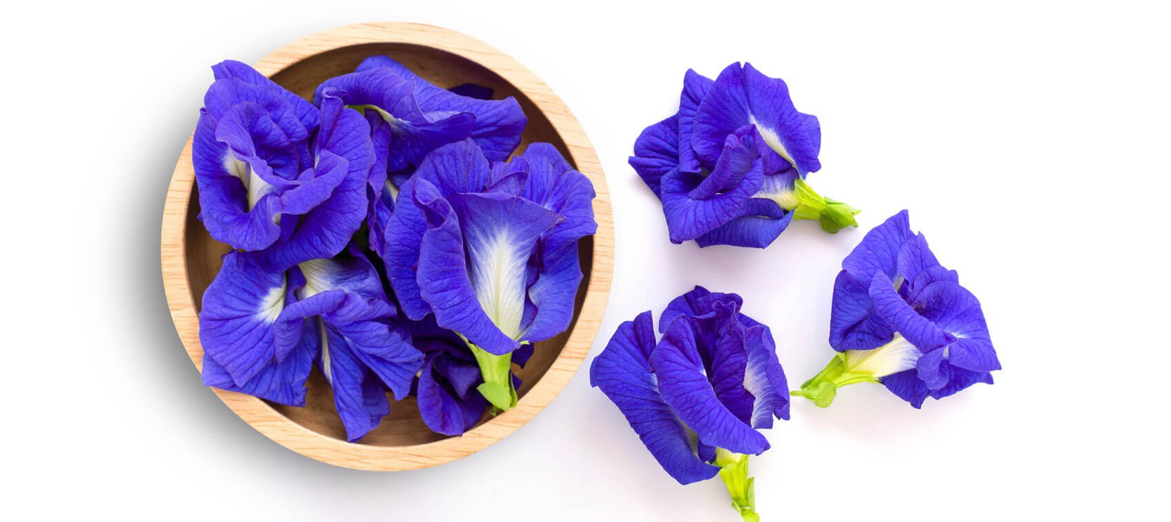 Blue Butterfly Pea Flower Tea Clitoria Ternatea Drink, 41% OFF