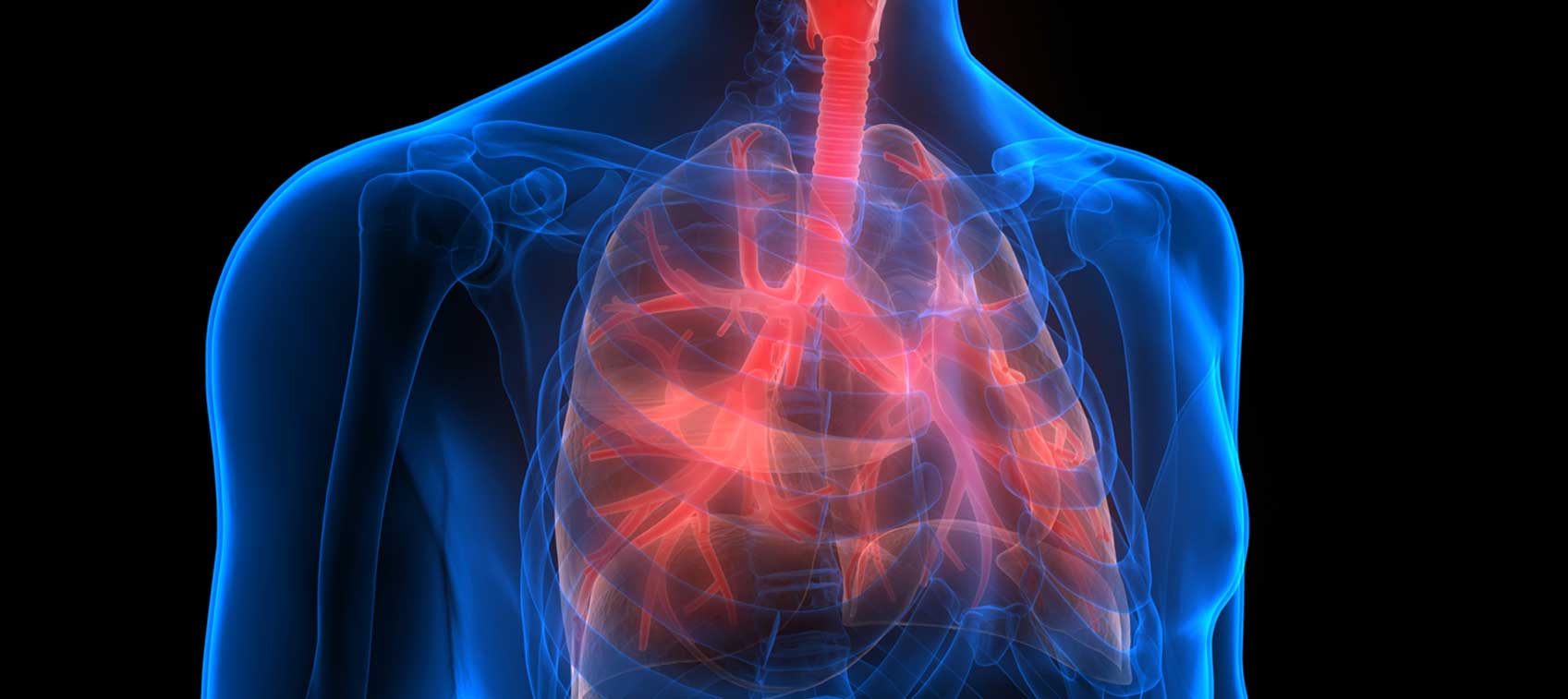 Chronic Obstructive Pulmonary Disease Lungs