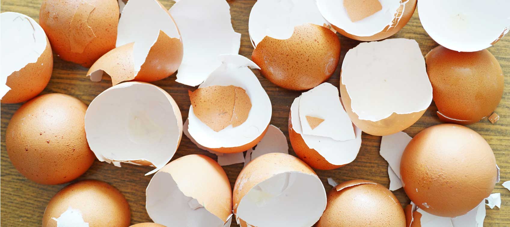 eggshell-membrane-benefits-joint-health-dr-williams