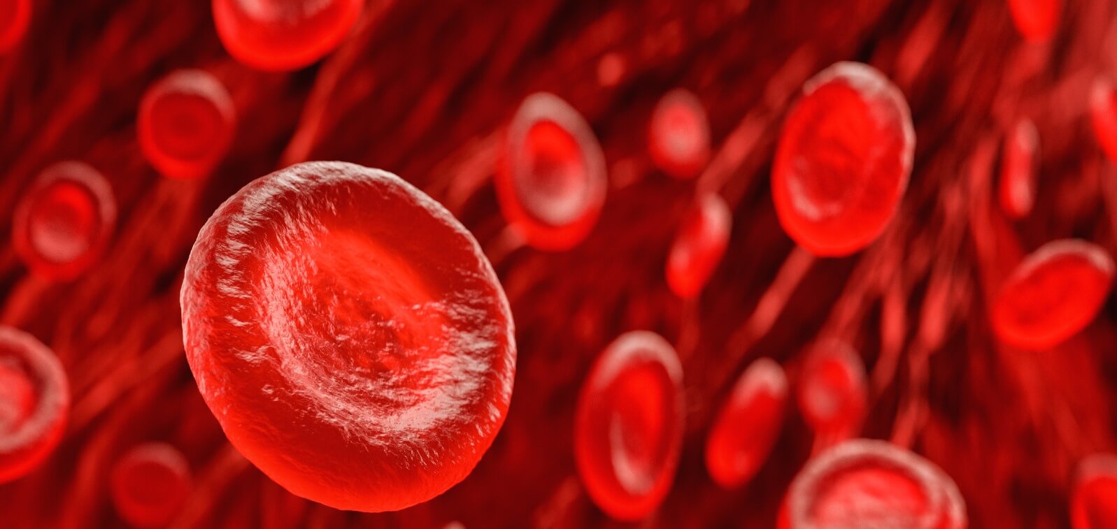 What do normal red blood cells look like?