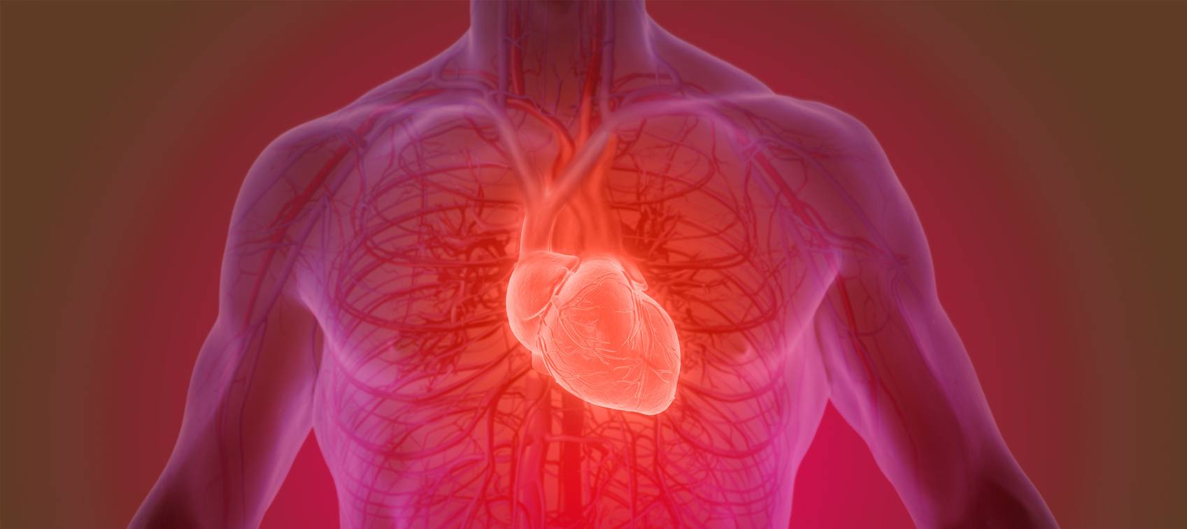 Health Vitamins & Supplements Products | Dr. Julian Whitaker