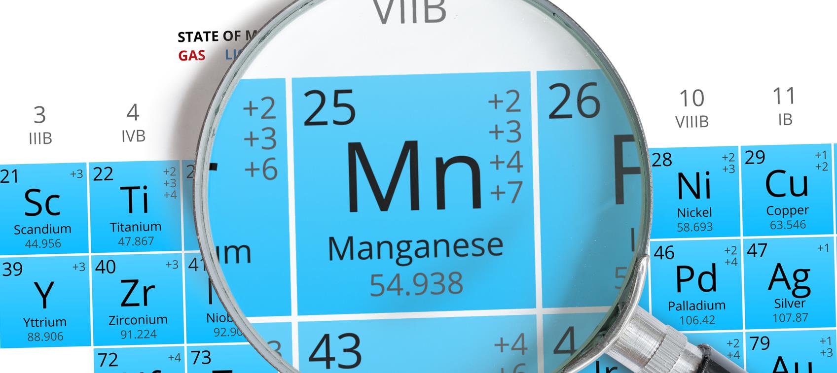 Wellness Expert Specializing in Digestion & Joint Health Dr. David Williams