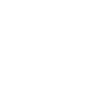 no artificial preservatives