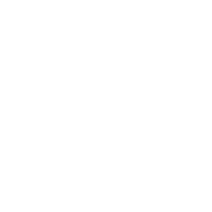 soy free