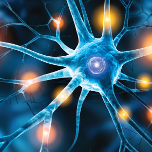 Essential Nerve Nutrients