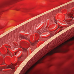 Nitrosigine - Superior Blood Flow