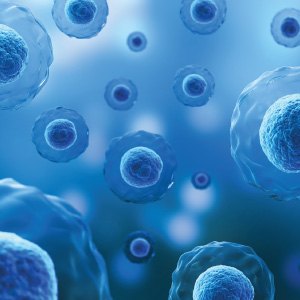 Resveratrol - Antioxidant Powerhouse