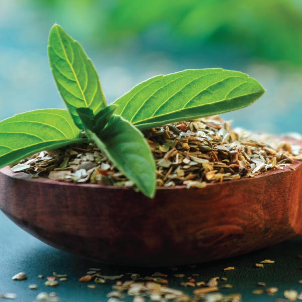 Essential Nerve Nutrients