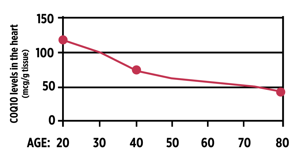 Benefits Timeline