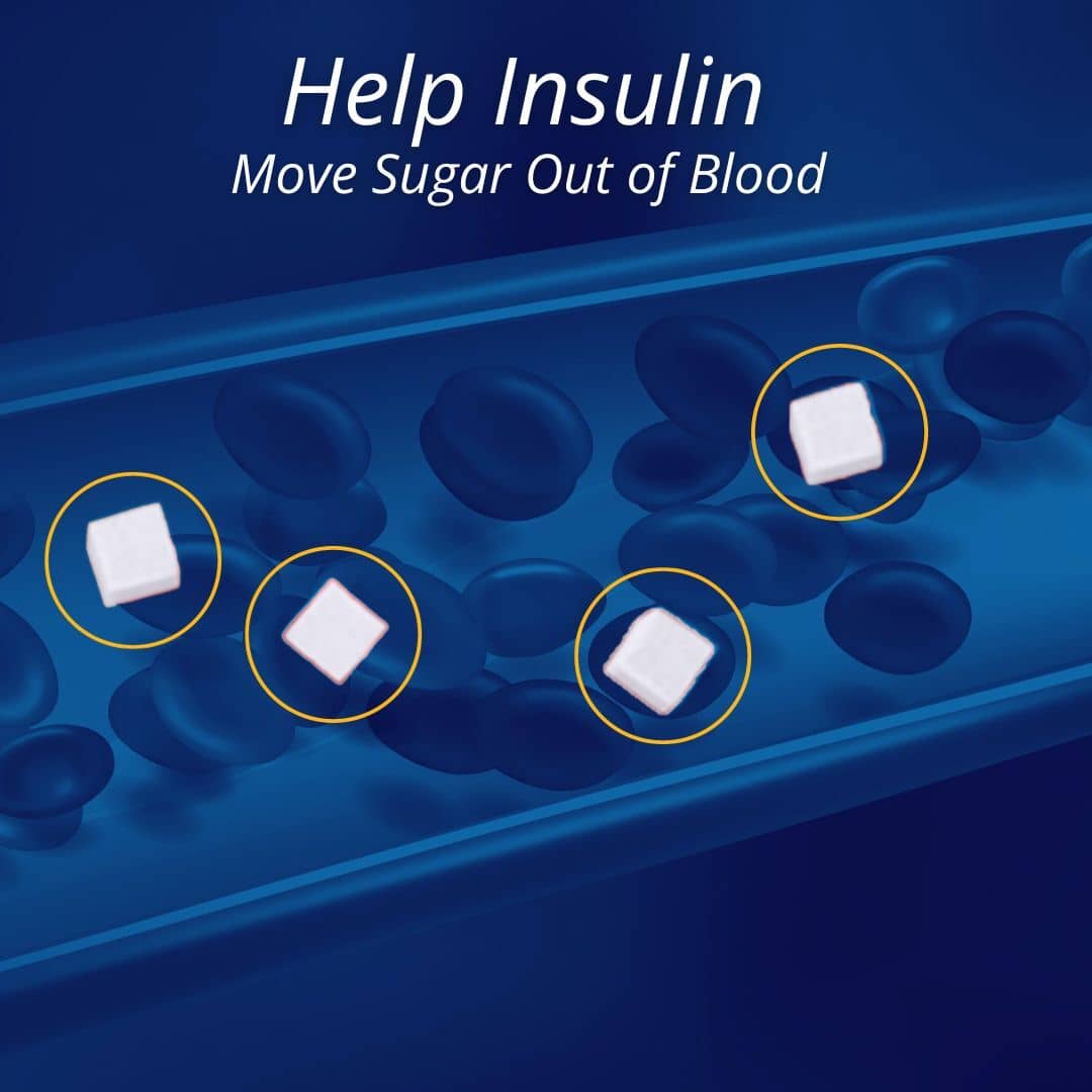 Help insulin move sugar out of blood