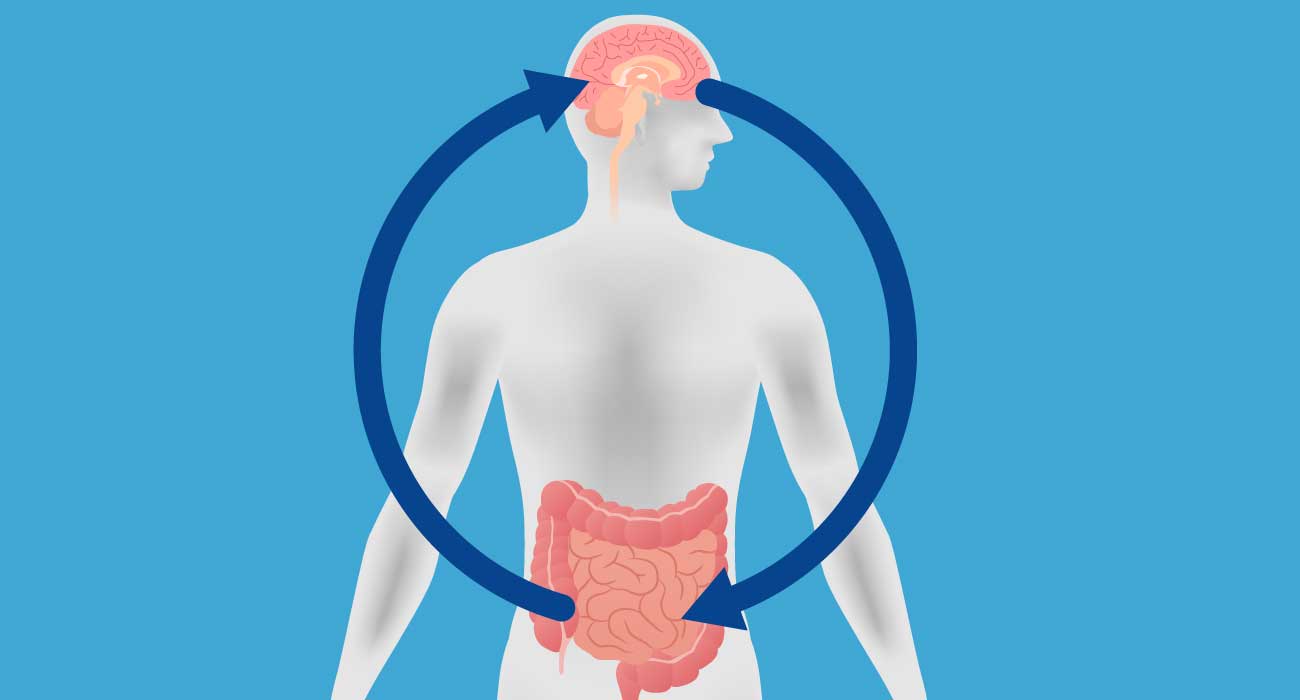 Gut Brain Connection image - a gray body with navy circular arrows pointing to the brain and cut on a blue background