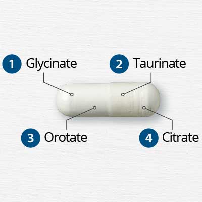 4 absorbable forms of magnesium